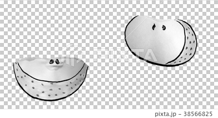 青りんご　カット　水墨画 38566825