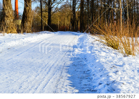 Winter rolled snowy road through the forest Winter rolled snowy road through the forest 38567927