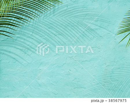 背景-植物-ブルー 38567975