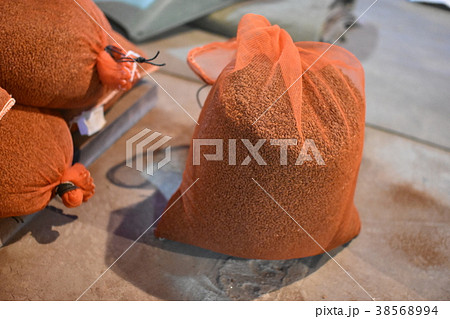 種籾（鉄コーティング） 38568994