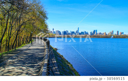 View of Central park at sunny spring day View of Central park at sunny spring day 38569515