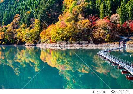《東京都》奥多摩湖・ドラム缶橋 38570176
