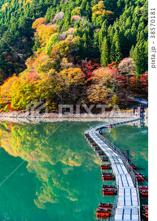 《東京都》奥多摩湖・ドラム缶橋 《東京都》奥多摩湖・ドラム缶橋 38570181