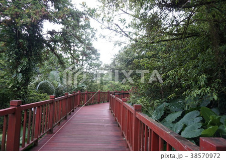 十份瀑布への散策路 38570972