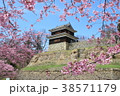 長野県　上田城の桜　4月 38571179