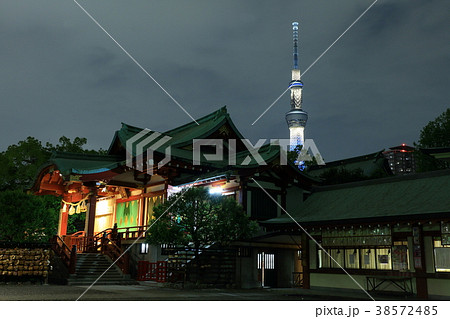 亀戸天神 藤の花とスカイツリー 亀戸天神 藤の花とスカイツリー 38572485