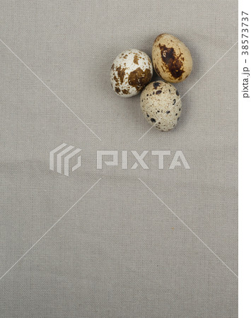 Quail Eggs on Wood Background Quail Eggs on Wood Background 38573737