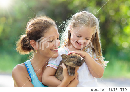 Kids and farm animals. Child with baby pig at zoo. Kids and farm animals. Child with baby pig at zoo. 38574550