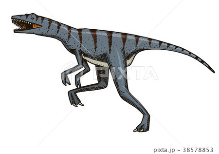 Dinosaur Velociraptor, skeletons, fossils Dinosaur Velociraptor, skeletons, fossils 38578853