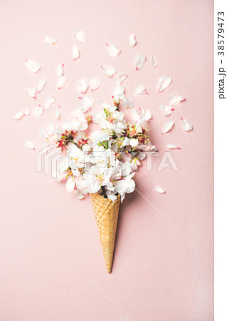 Waffle cone with white almond blossom flowers Waffle cone with white almond blossom flowers 38579473