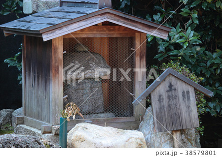 京都　東向観音寺　土蜘蛛灯籠 38579801