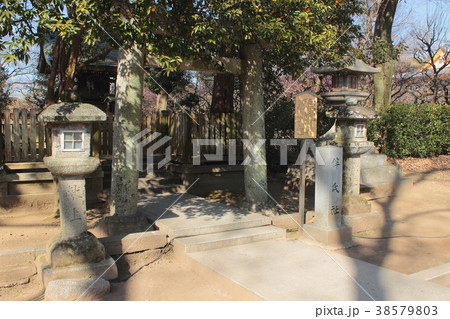 京都 北野天満宮 伴氏社 京都 北野天満宮 伴氏社 38579803