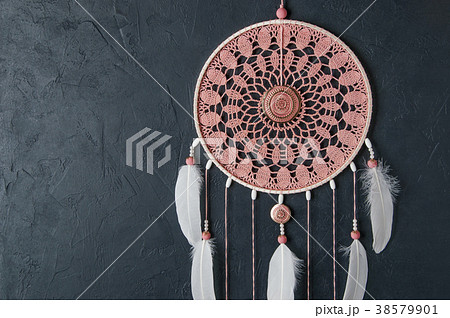 Pink ash dream catcher 38579901
