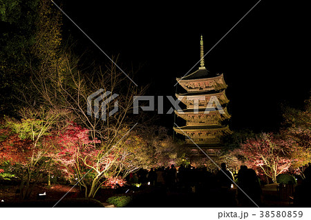 東寺ライトアップ 東寺ライトアップ 38580859