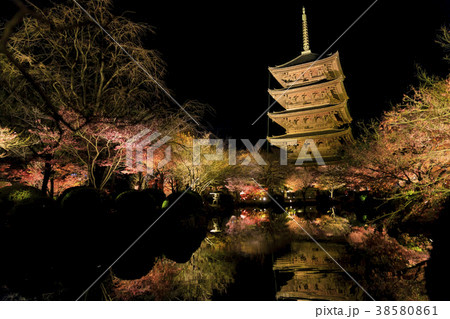 東寺ライトアップ 東寺ライトアップ 38580861