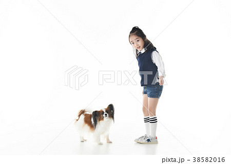 犬 子犬 ペット 38582016