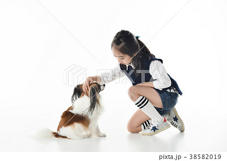 犬 子犬 ペット 38582019