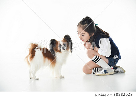 犬 子犬 ペット 38582028