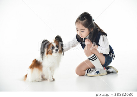 犬 子犬 ペット 38582030