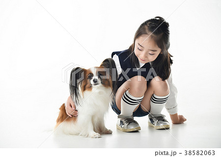 犬 ペット 本 38582063