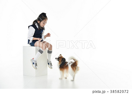 犬 子犬 ペット 38582072