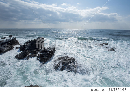 神奈川県立城ヶ島公園の岩礁と太平洋 38582143