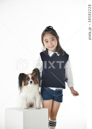 犬 子犬 ペット 38582228