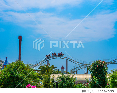 枚方パークのバラ園 38582599