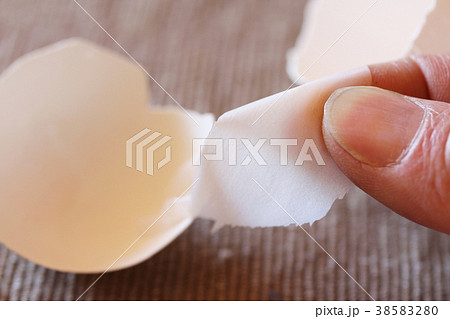 卵殻膜 38583280