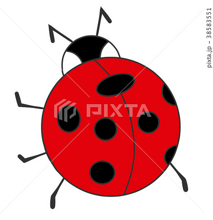 Lady bug red 38583551