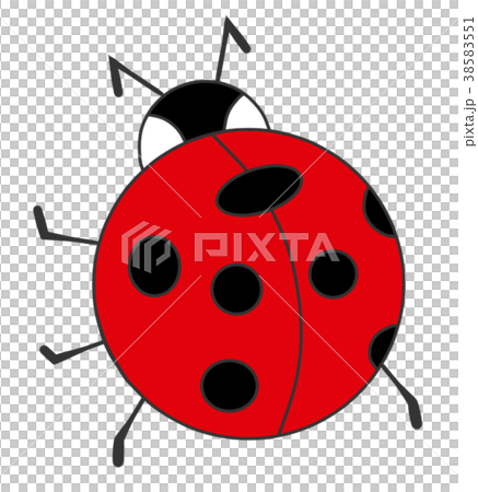 Lady bug red 38583551