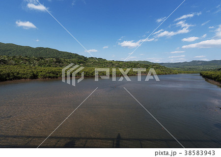 西表島の前良川(マイラ川) 西表島の前良川(マイラ川) 38583943