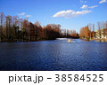 別所沼公園 38584525