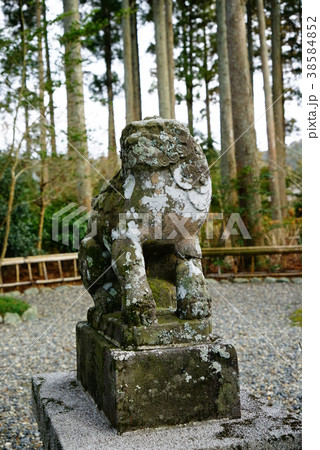 国吉神社(千葉県いすみ市） 38584852