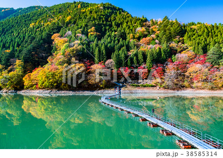 《東京都》奥多摩湖・ドラム缶橋 38585314
