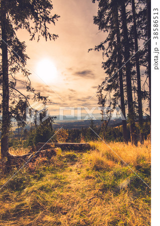 Autumn in high Tatra mountains,toned image 38586513