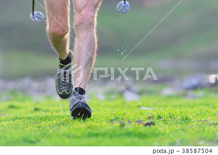 Four balls of colored wool skewered  38587504