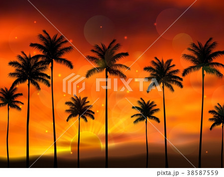 Silhouette of coconut tree when of sunset 38587559