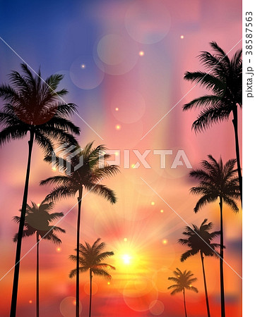 Silhouette Of Palm Tree When Of Sunsetのイラスト素材