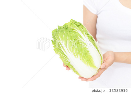 新鮮な白菜 38588956