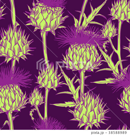 Seamless pattern with onopordum acanthium 38588989
