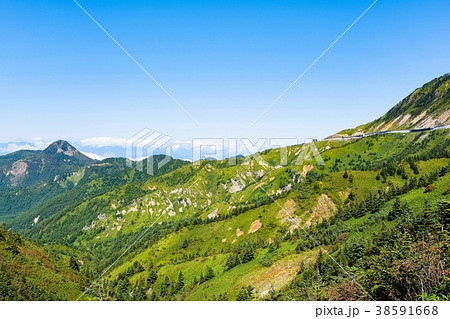 志賀草津道路の風景 38591668