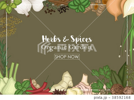 Herbs and spices decorative background 38592168