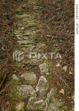 【熊野古道】風伝峠 38592604