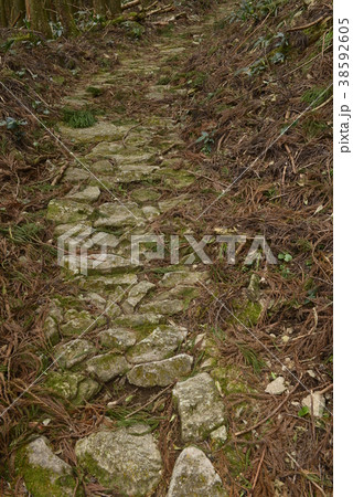 【熊野古道】風伝峠 【熊野古道】風伝峠 38592605