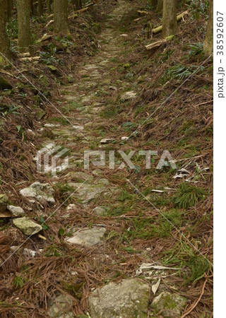 【熊野古道】風伝峠 38592607