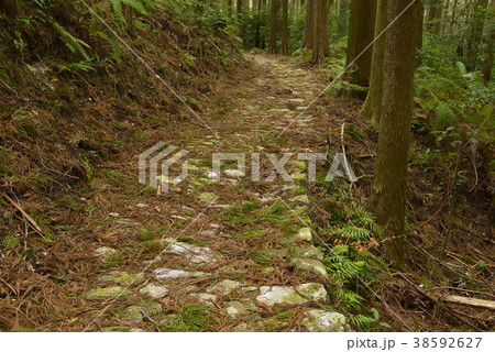 熊野古道 風伝峠の写真素材