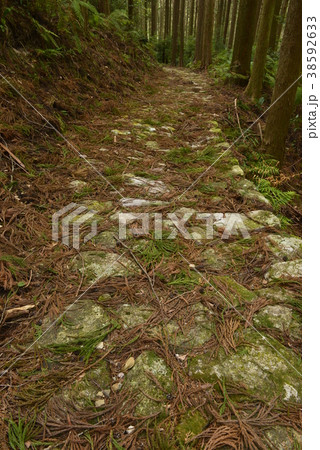 【熊野古道】風伝峠 【熊野古道】風伝峠 38592633