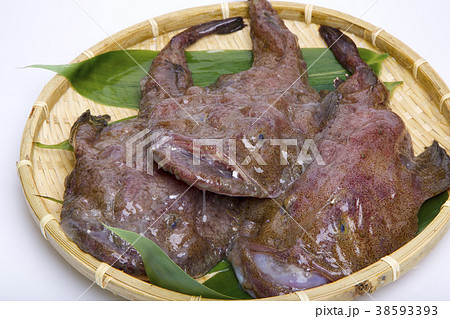 アンコウ　食材 38593393