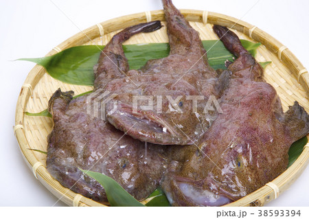 アンコウ 食材 アンコウ 食材 38593394